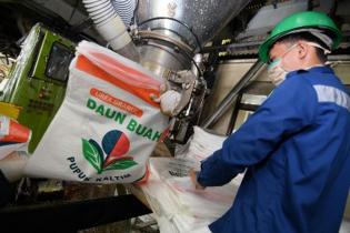 Pupuk Kaltim Kembangkan Teknologi Pertanian Kelapa Sawit